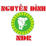 Nguuyễn Đỉnh Nguuyễn Đỉnh