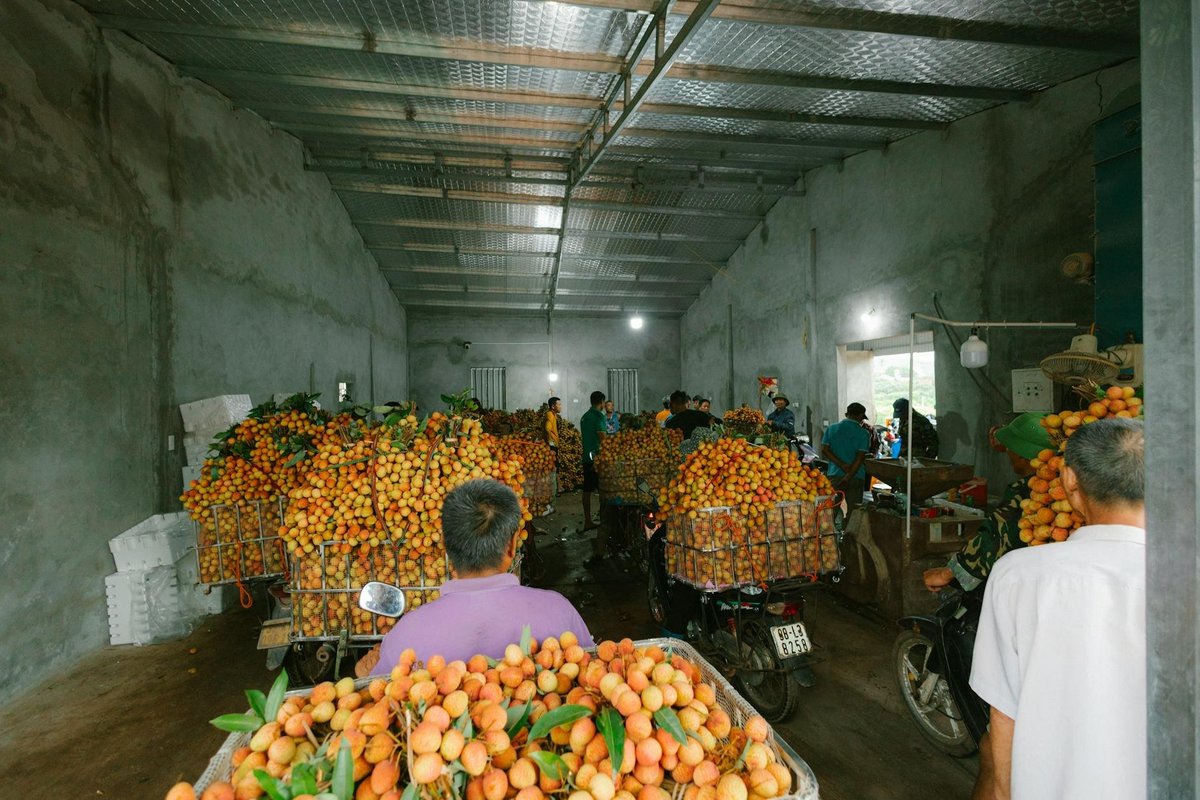Trung Quốc Siết Yêu Cầu Truy Xuất Nguồn Gốc: Cơ Hội hay Thách Thức?