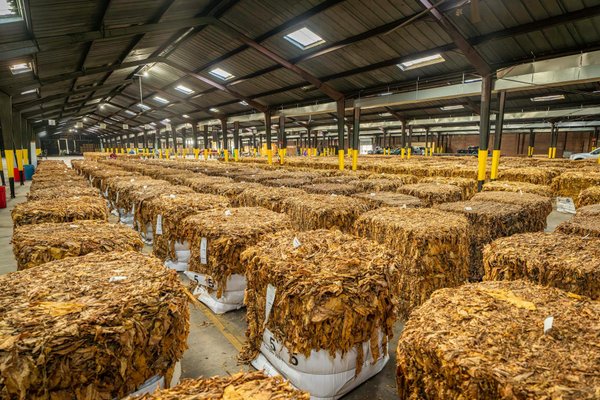 VNCX hỗ trợ miễn phí 1000 doanh nghiệp OCOP triển khai truy xuất nguồn gốc
