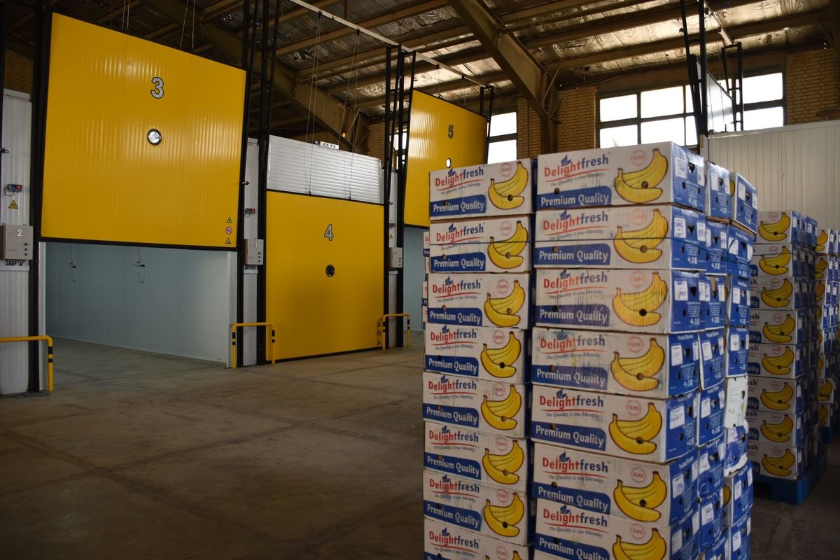 TCVN ISO 22005:2008 là gì: nguyên tắc thiết kế hệ thống truy xuất nguồn gốc thực phẩm và thức ăn chăn nuôi doanh nghiệp cần biết