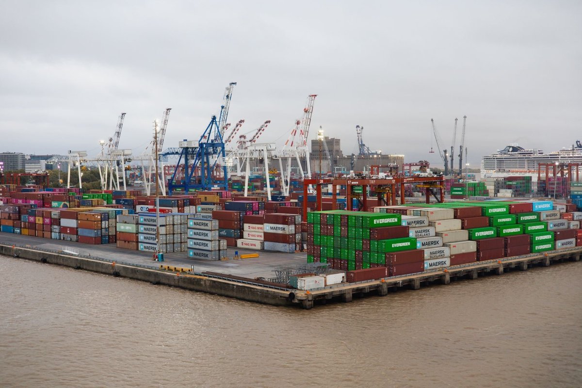 FDA Import Alert là gì: Vì sao lô hàng thủy sản, thực phẩm Việt Nam bị giữ tự động tại cảng Mỹ