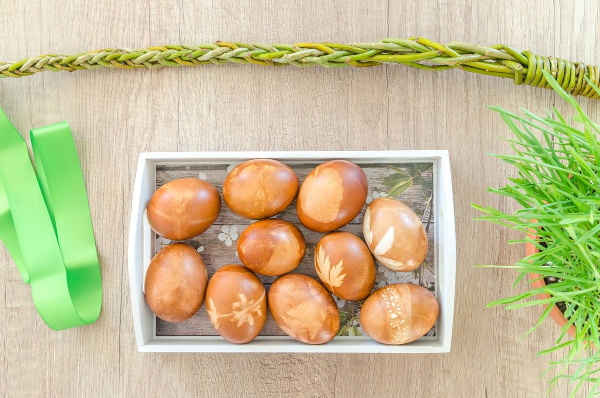 Truy xuất nguồn gốc trứng gia cầm: mã lô theo ngày đẻ, in mã lên vỏ trứng và dữ liệu từ trại đến siêu thị